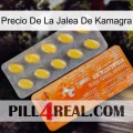 Kamagra Jelly Price new05